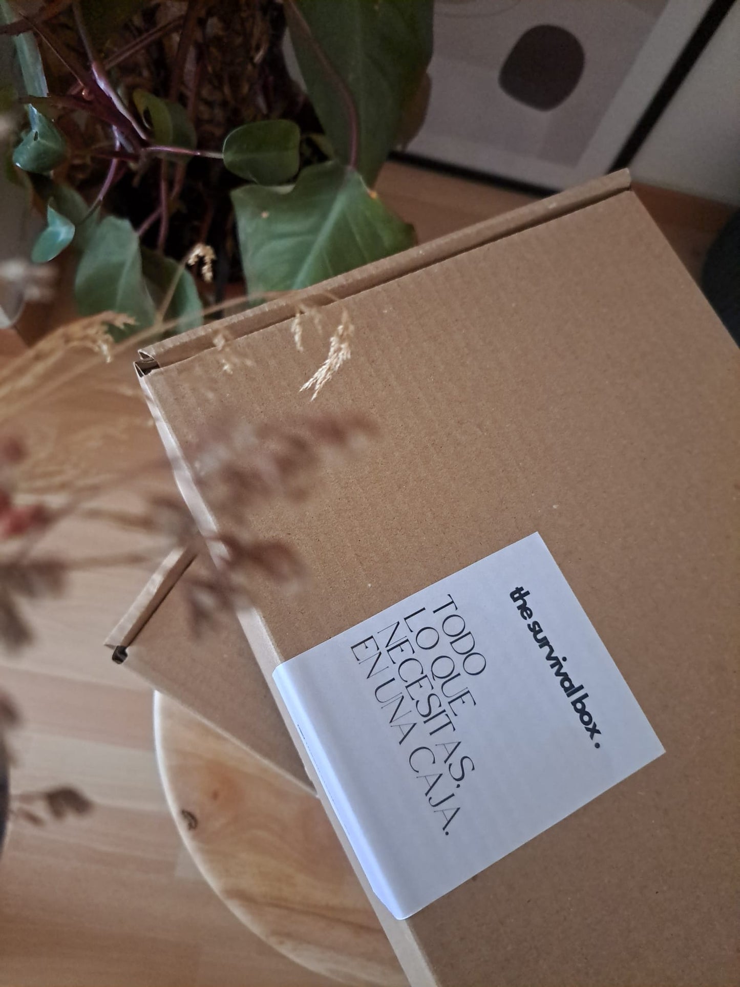 Cozy Moments Kit